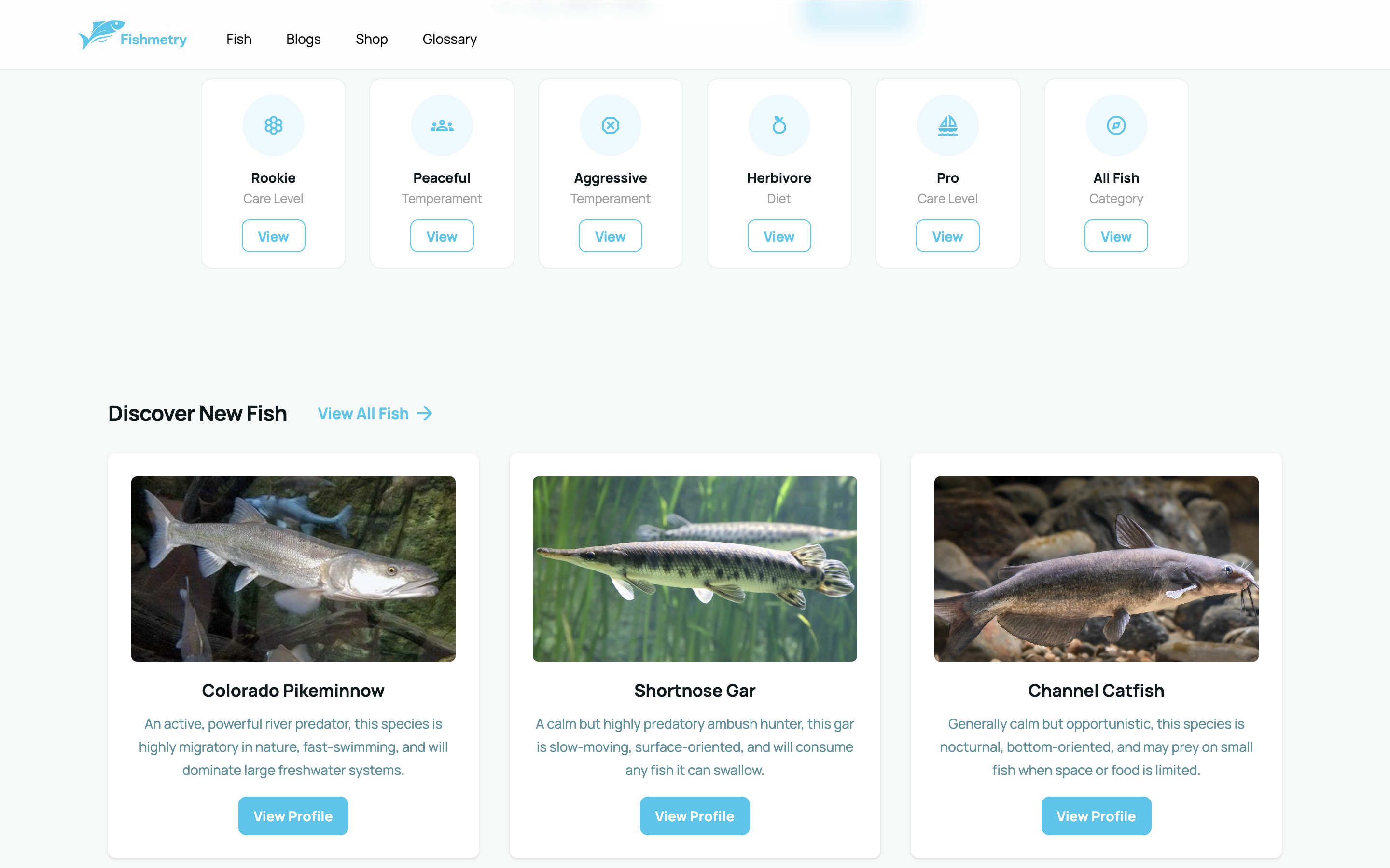 Fishmetry - Landing Screen 