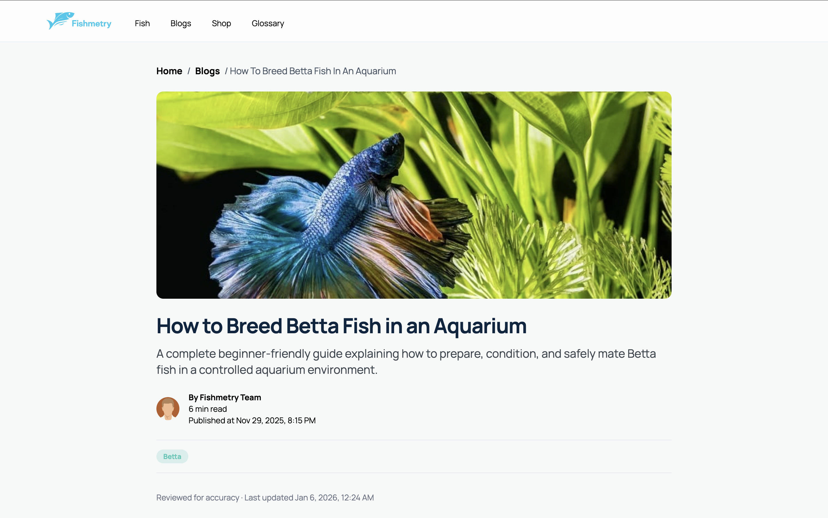 Fishmetry - Blog Details Screen Header