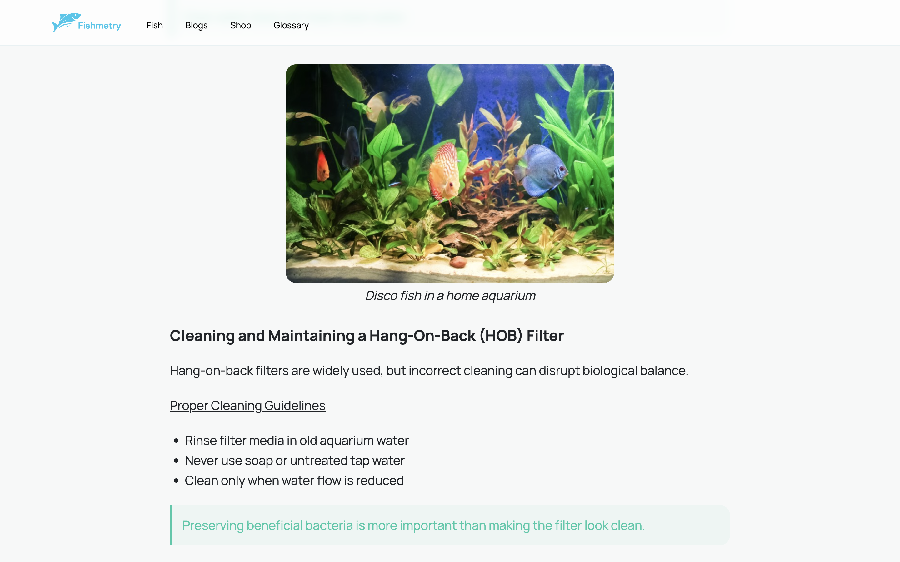 Fishmetry - Blog Details Screen Body