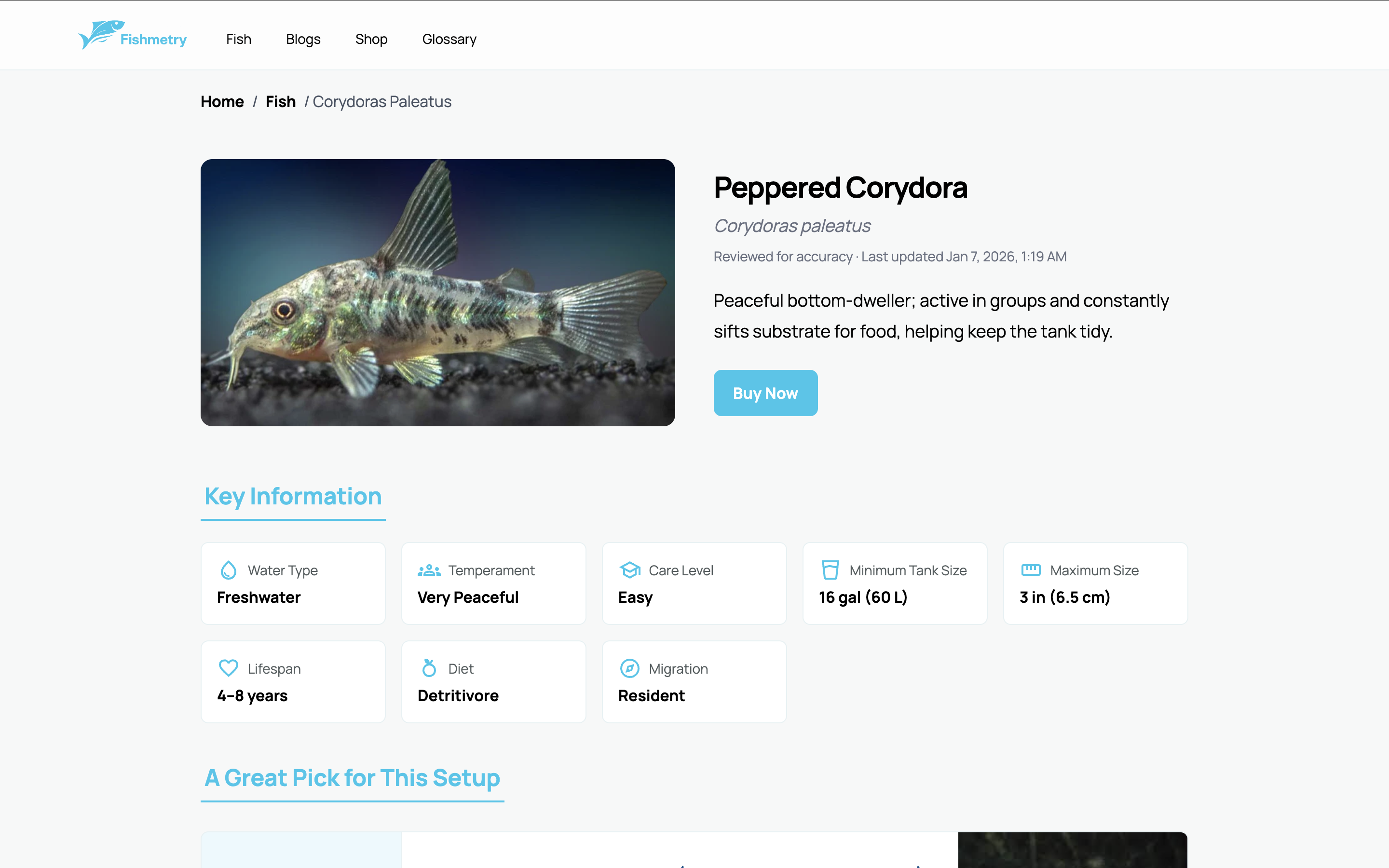 Fishmetry - Fish Details Screen Header